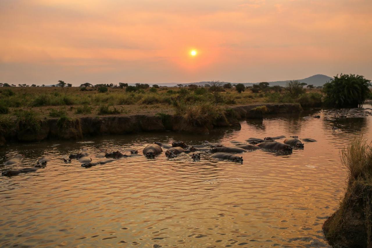 Osero Serengeti Luxury Tented Camp Banagi Exterior foto