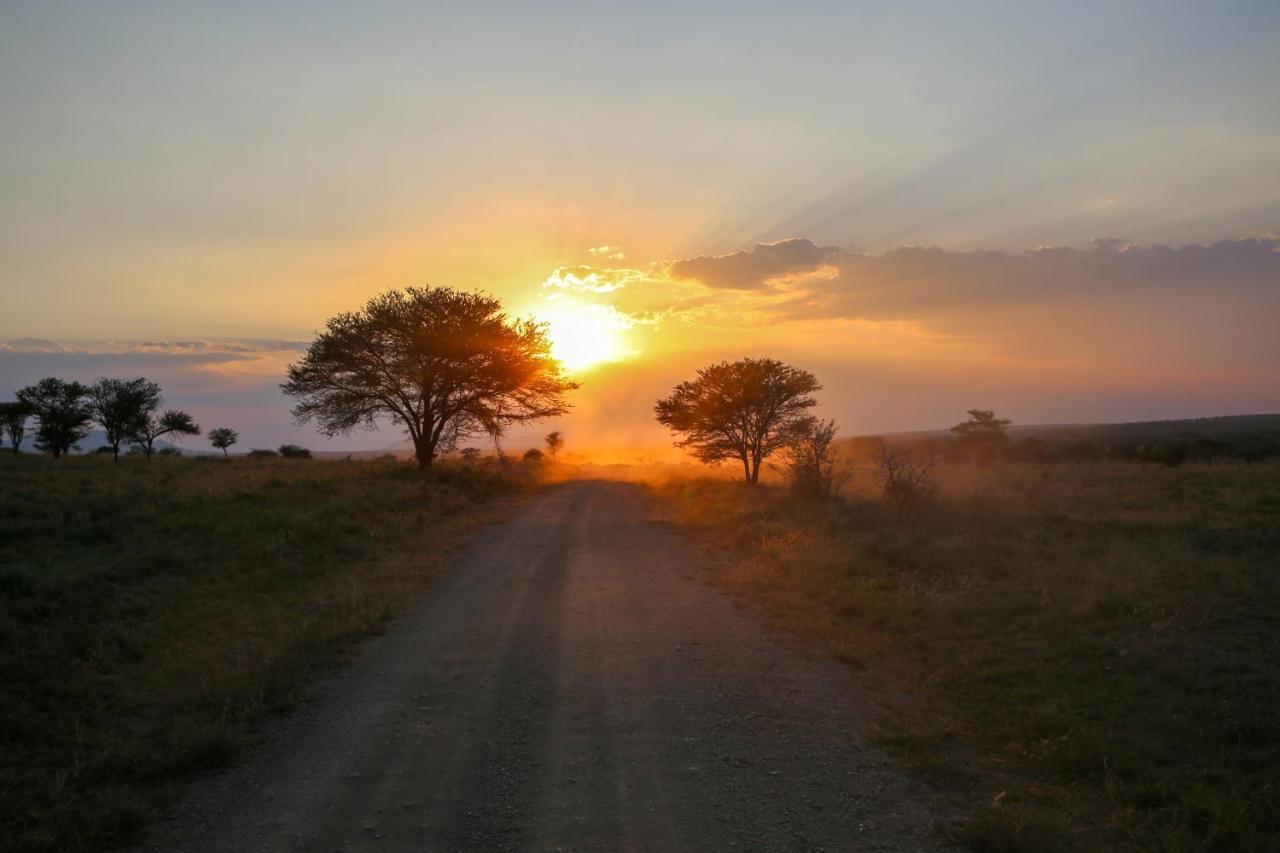 Osero Serengeti Luxury Tented Camp Banagi Exterior foto